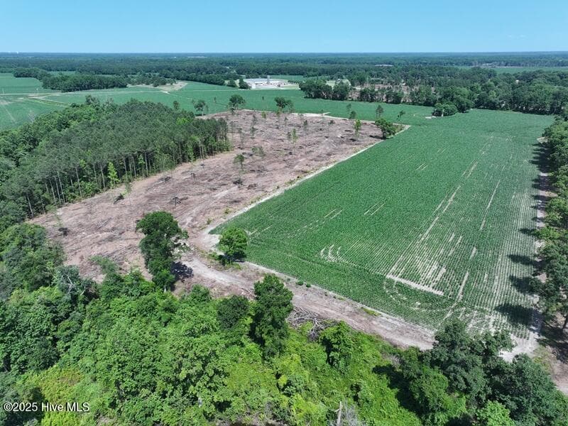 Agriculture at Tbd Highway 71, Red Springs, NC 28377, photo 4 of 17