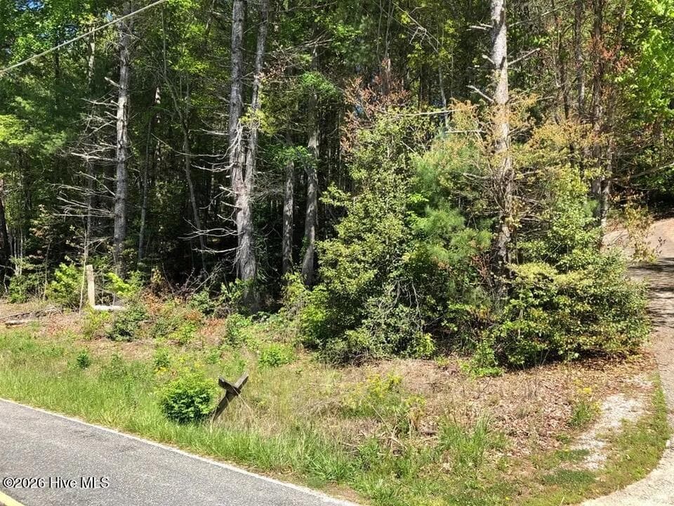 Residential Lot at Lot 7 7 Santeetlah Ridge, Robbinsville, NC 28771, photo 7 of 10