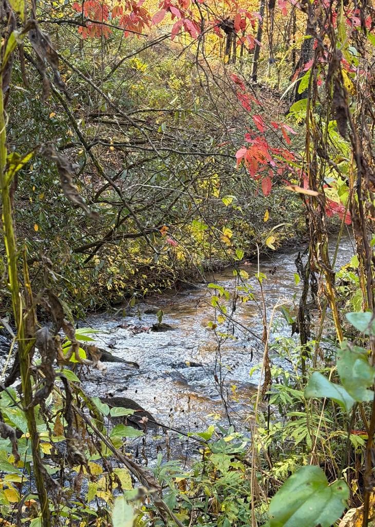 Lot 62 & 62&A Creek Lot A, Stone Ridge Falls, Murphy, NC 28906