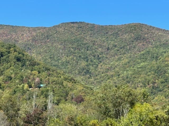 Undeveloped at 10617 Highway 64 E, Hayesville, NC 28904, Hayesville, photo 5 of 5