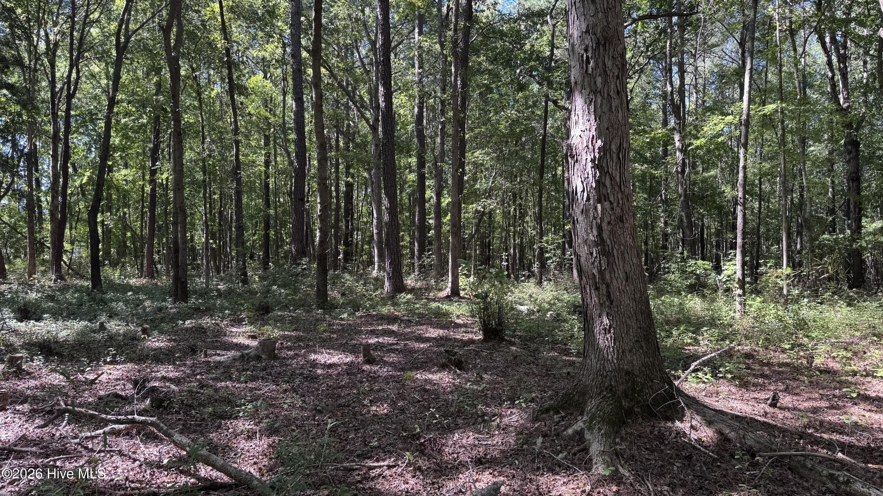 6033 Homestead Road, Elm City, NC 27822
