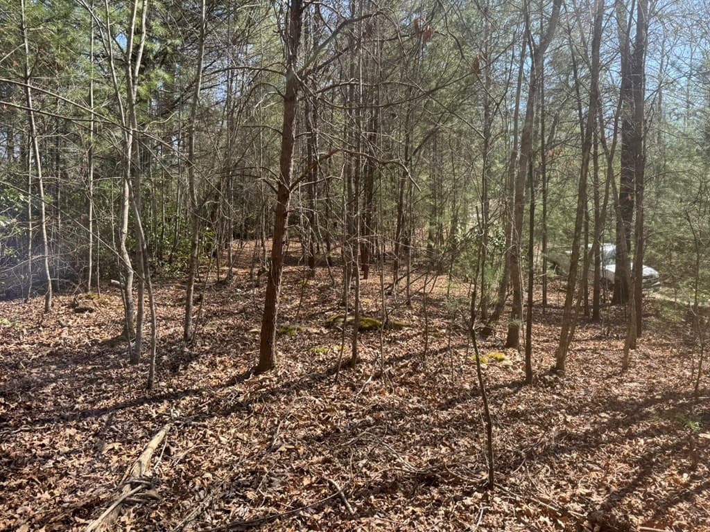 Residential Lot at 00 Blue Ridge Heights, Hayesville, NC 28906, Hayesville, photo 2 of 11