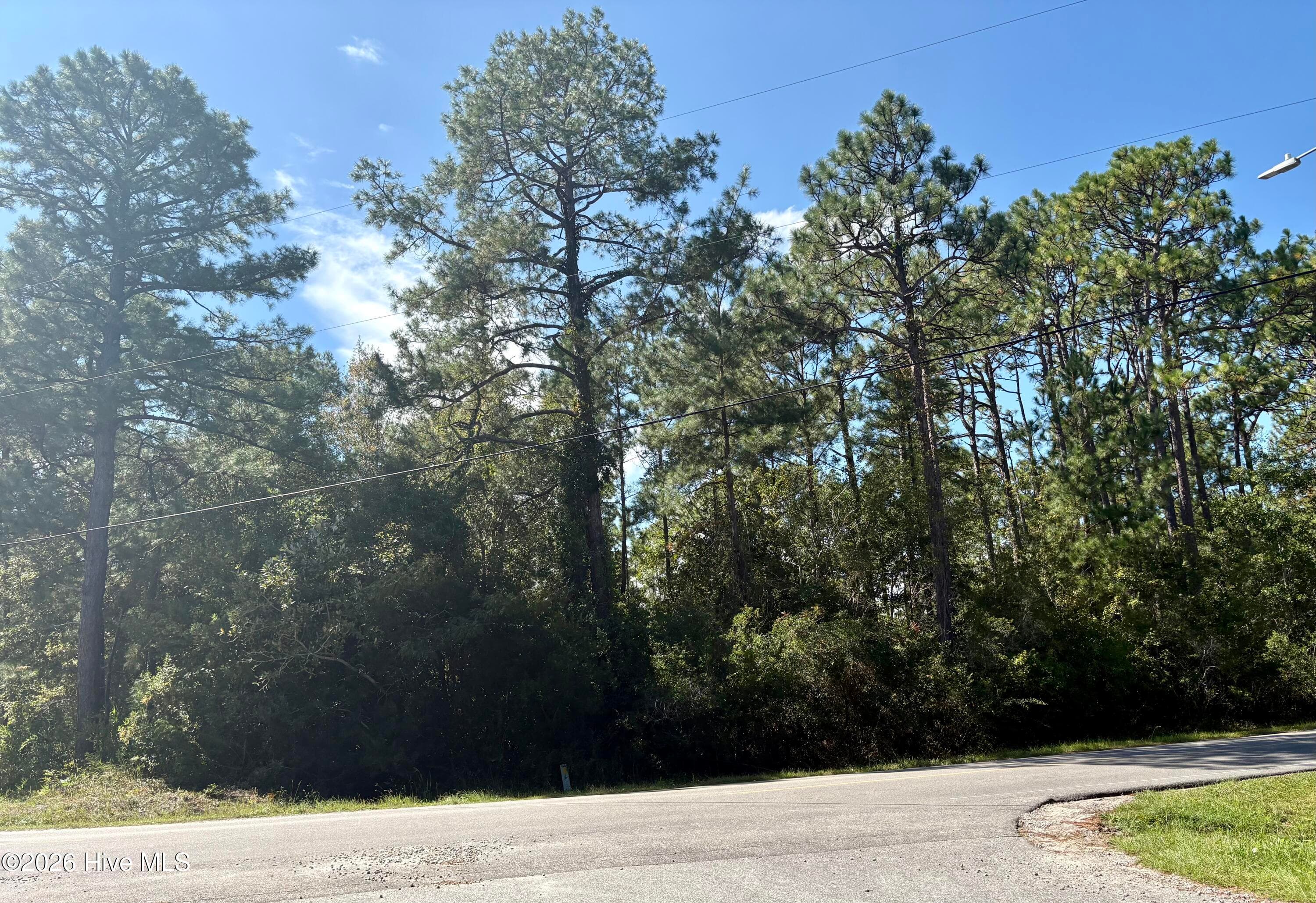 Wooded at L-80/81 80/81 Nassau Road, Boiling Spring Lakes, NC 28461, photo 2 of 11
