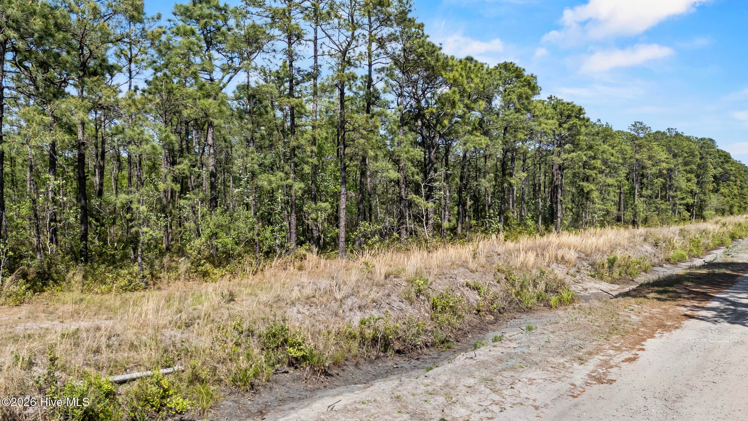 Mixed Use at Lot #267 267 Plantation Road, Wilmington, NC 28411, photo 9 of 16