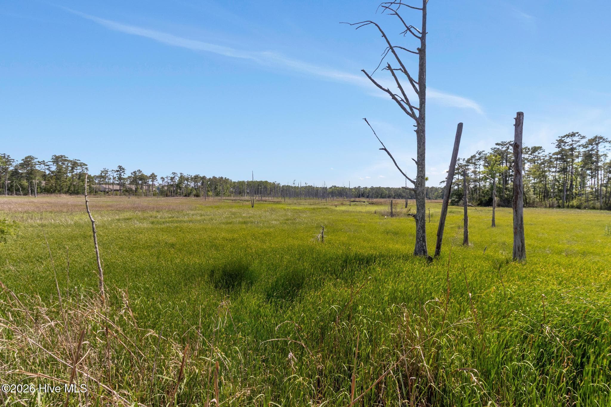 Condominium at 3909 Botsford Court Unit 103, Wilmington, NC 28412, photo 57 of 95