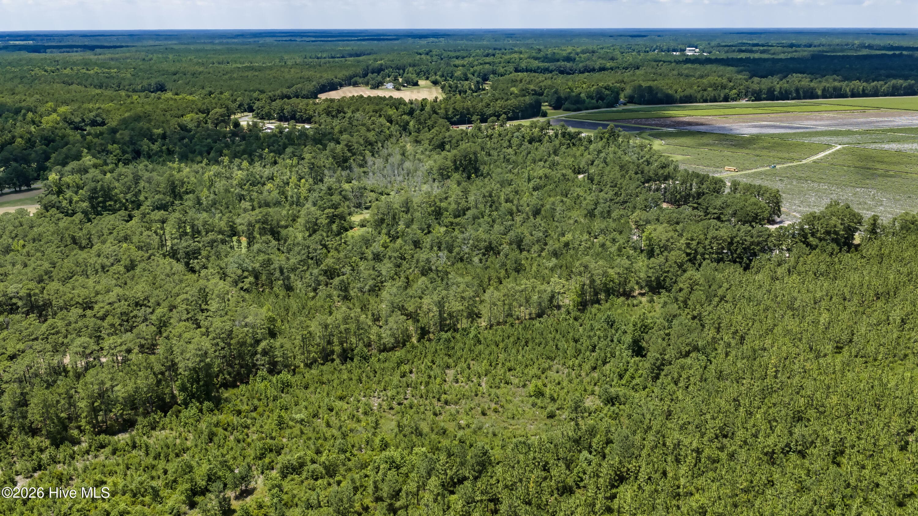 Undeveloped at 0 Clarks Landing Road, Rocky Point, NC 28457, photo 21 of 23