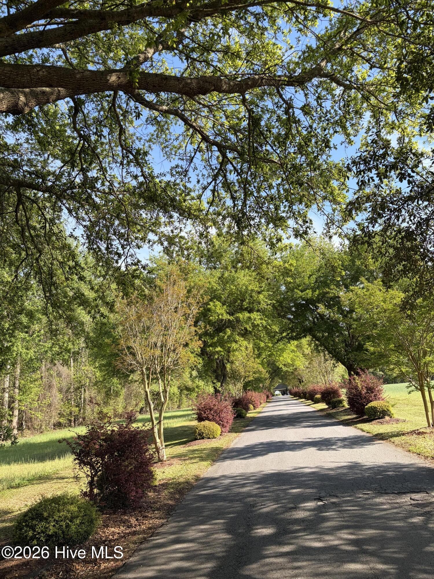 Island Drive - 0 2 Island Drive, Chocowinity, NC 27817