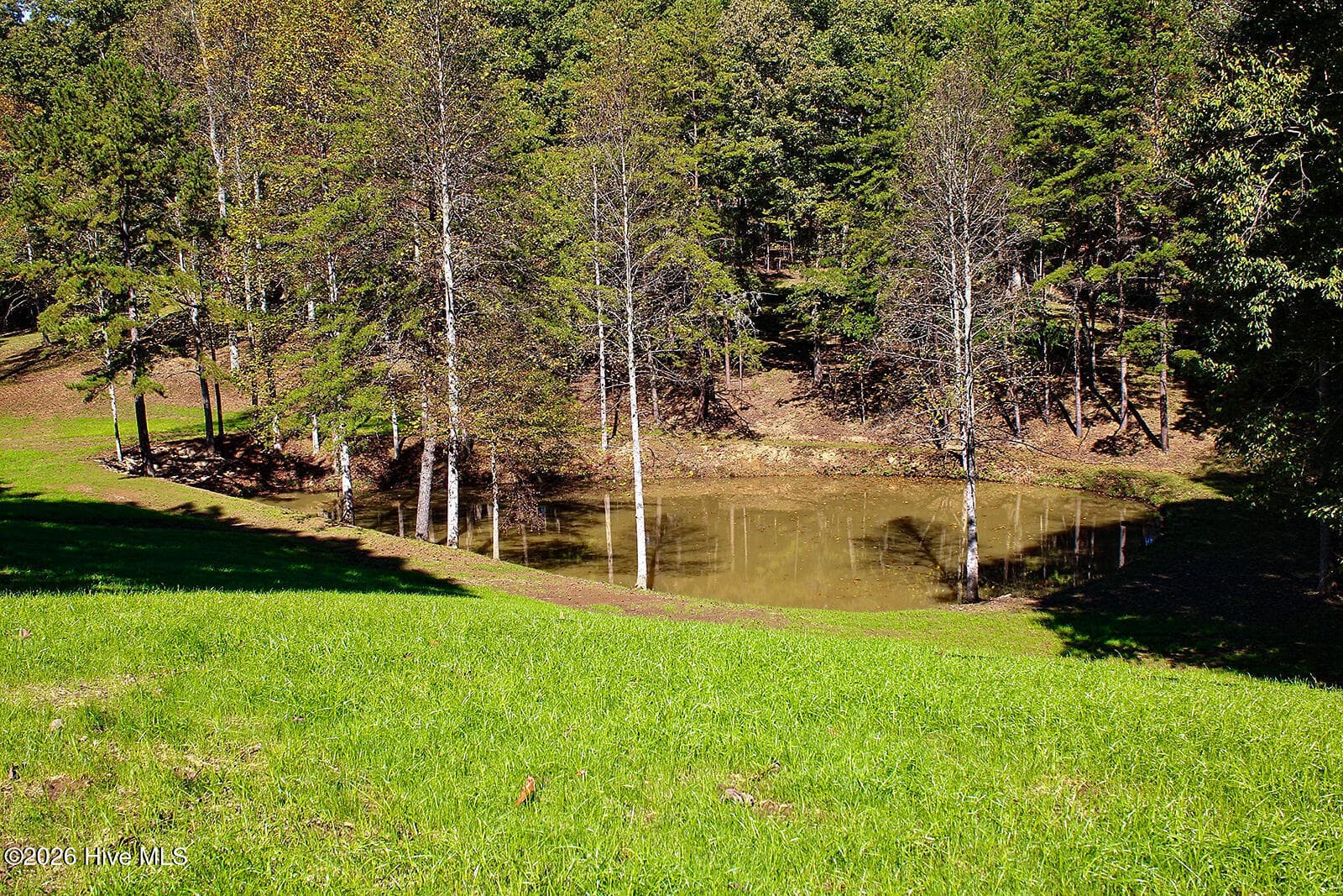 Single Family Residence at 121 Wolfcreek Road, Murphy, NC 28906, photo 117 of 126