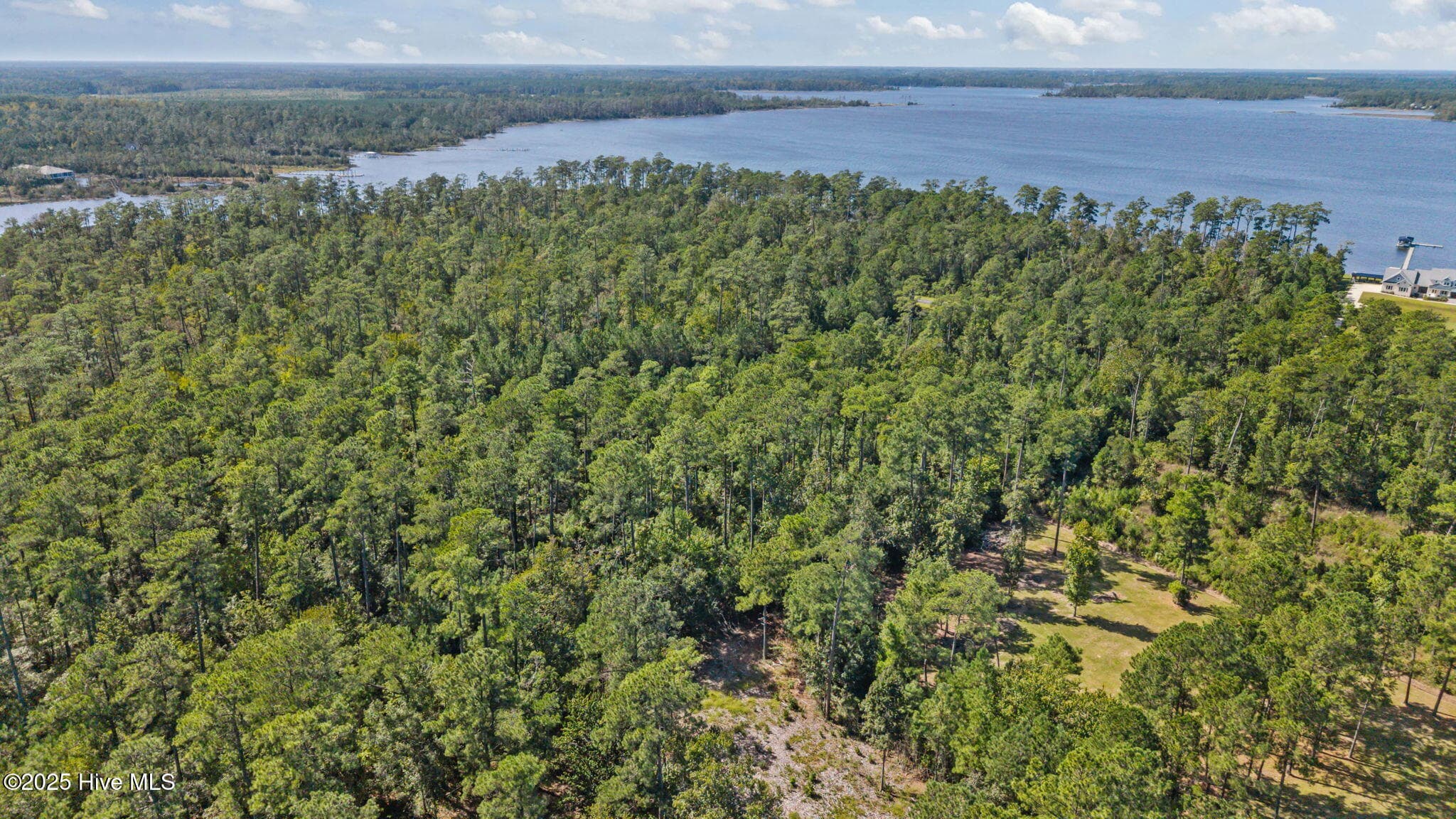 Undeveloped at 87 49 Mason Lane, Merritt, NC 28556, photo 10 of 12