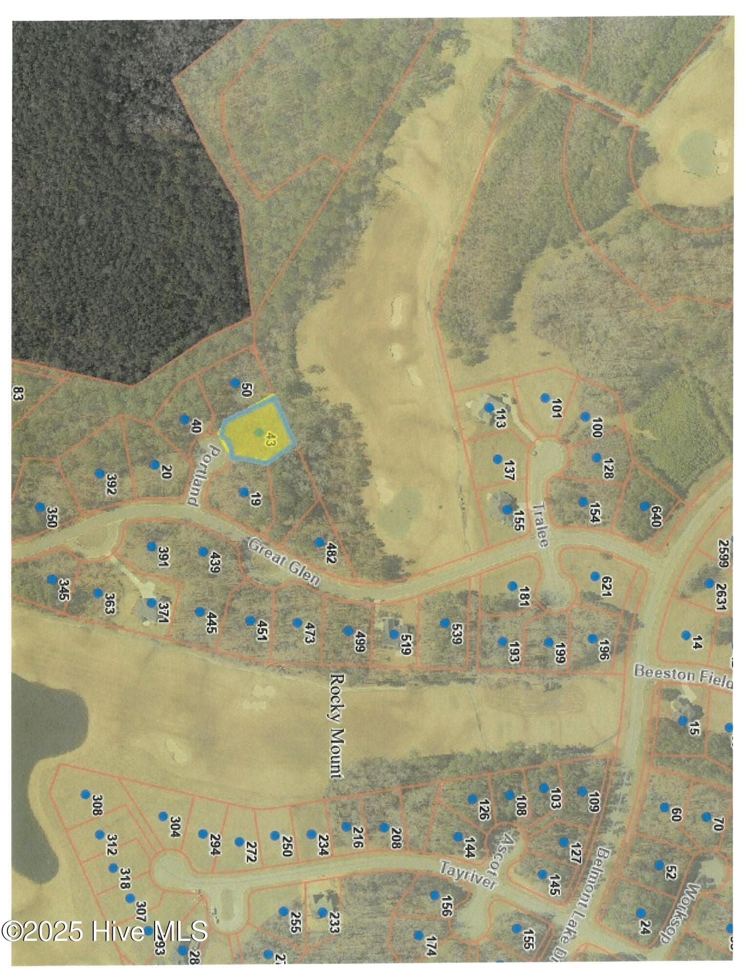 Residential Land at 43 Portland, Rocky Mount, NC 27804, photo 3 of 28