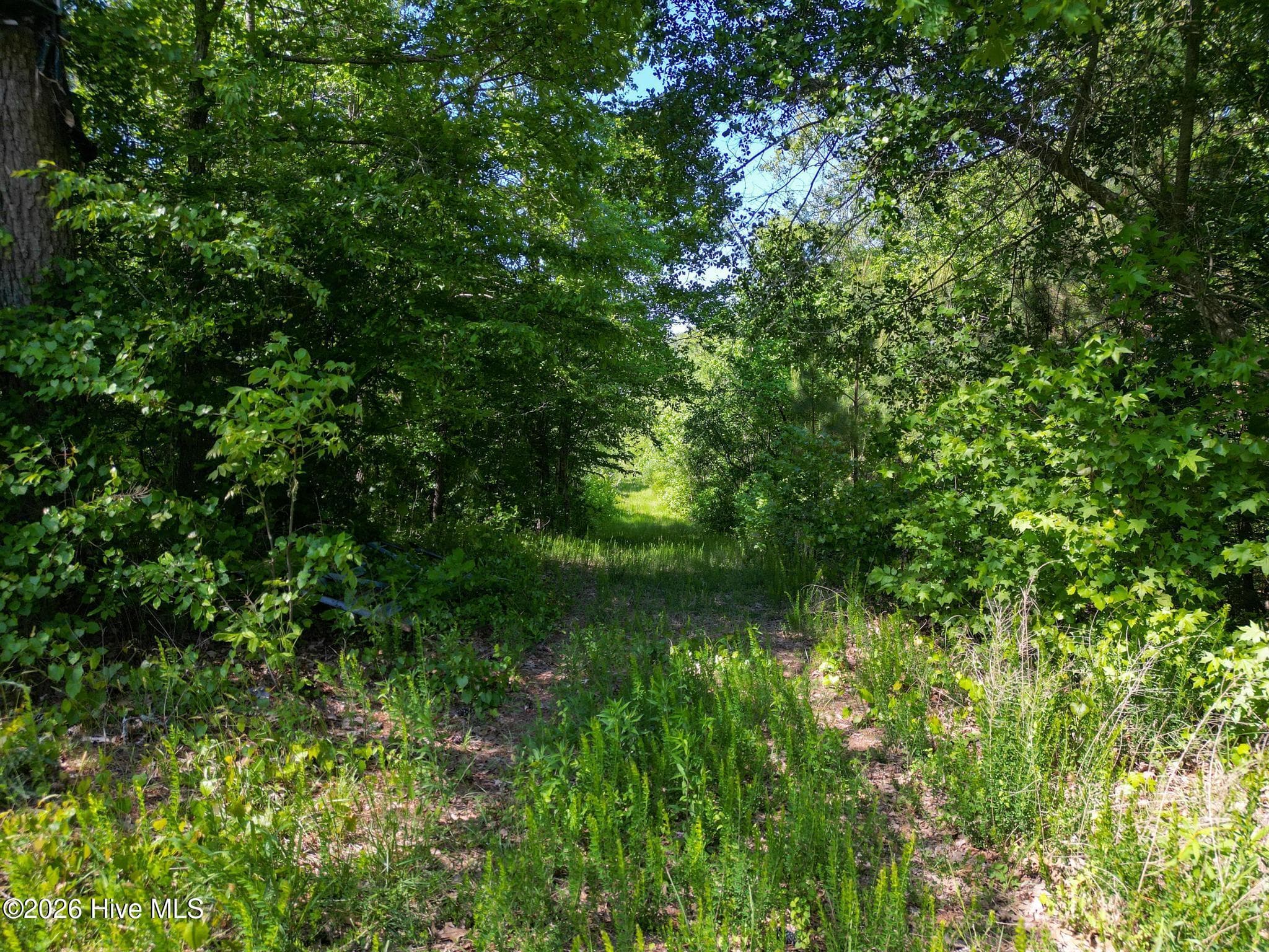 Lot 7 Kestrel Lane, Camden, NC 27921