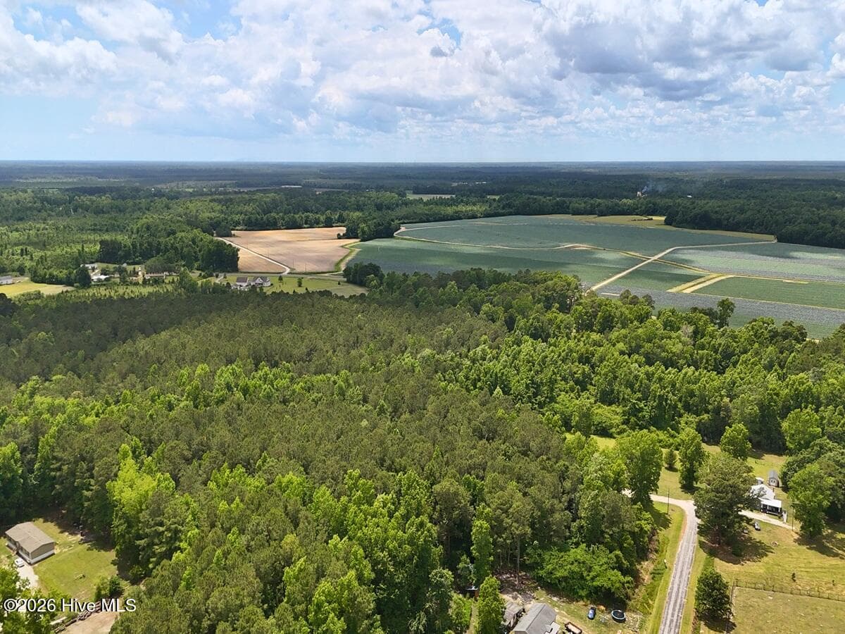 Undeveloped at 0 Ruby'S Lane, Maysville, NC 28555, photo 2 of 4