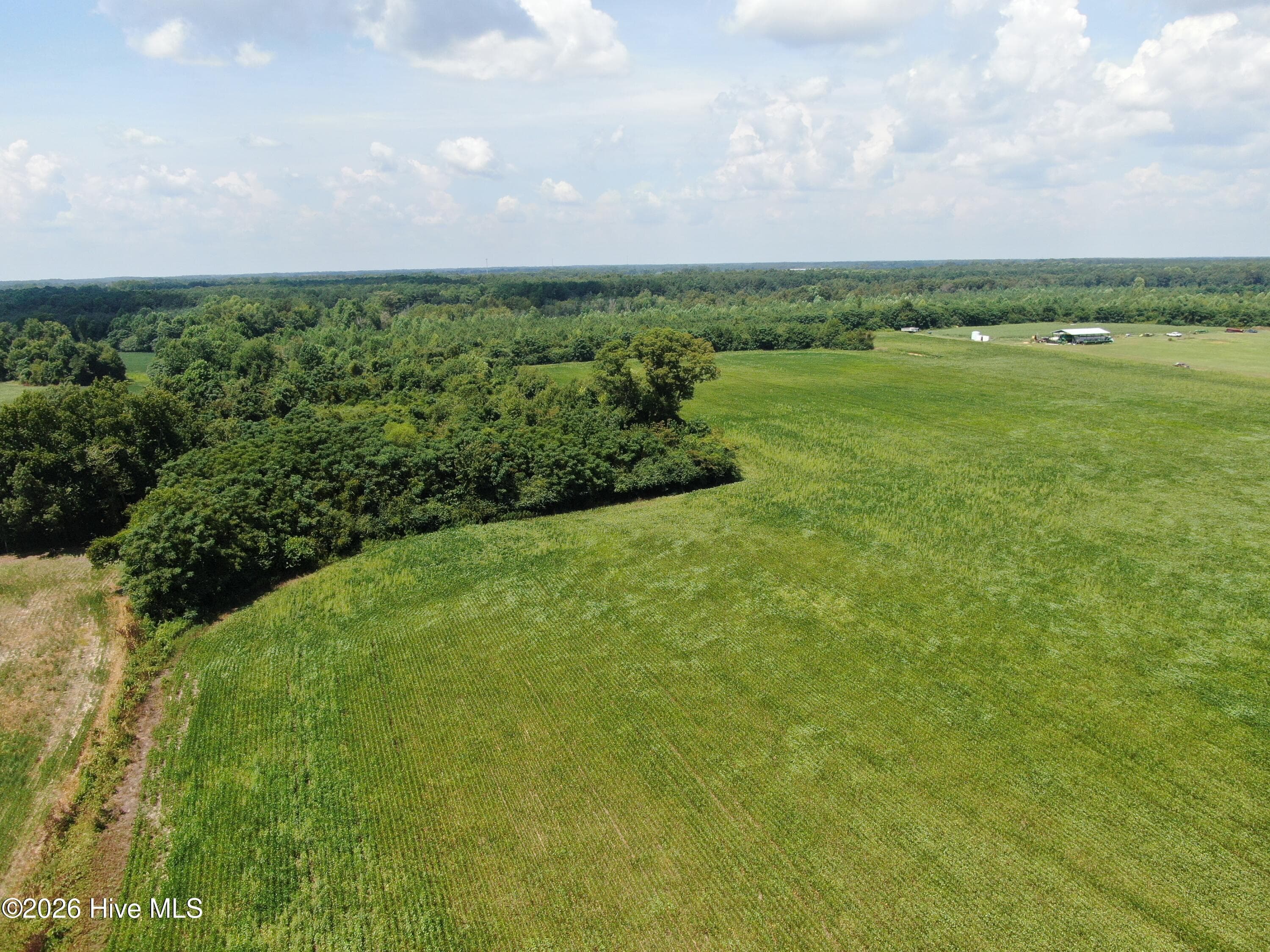 Agriculture at Tbd Fairgrove Road, Fairmont, NC 28340, photo 2 of 2