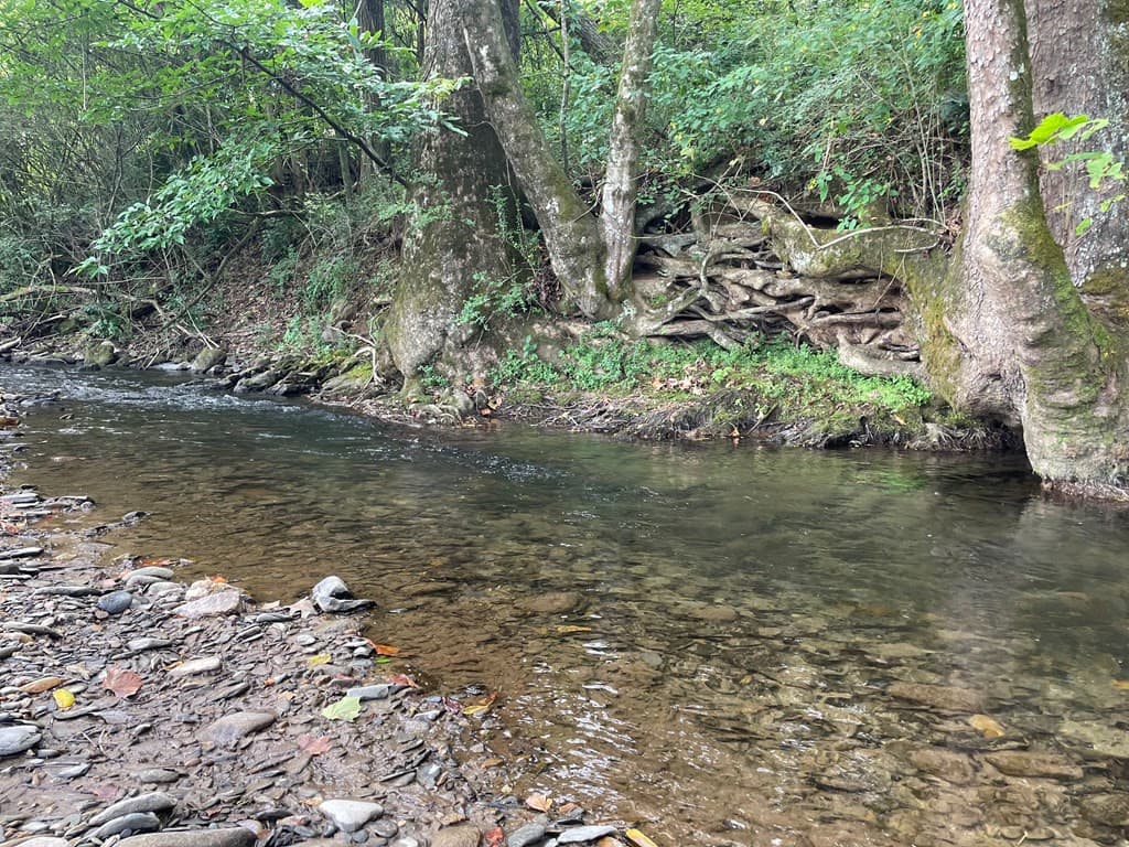 Land at 00 Highway 19, Andrews, NC 28901, photo 19 of 20