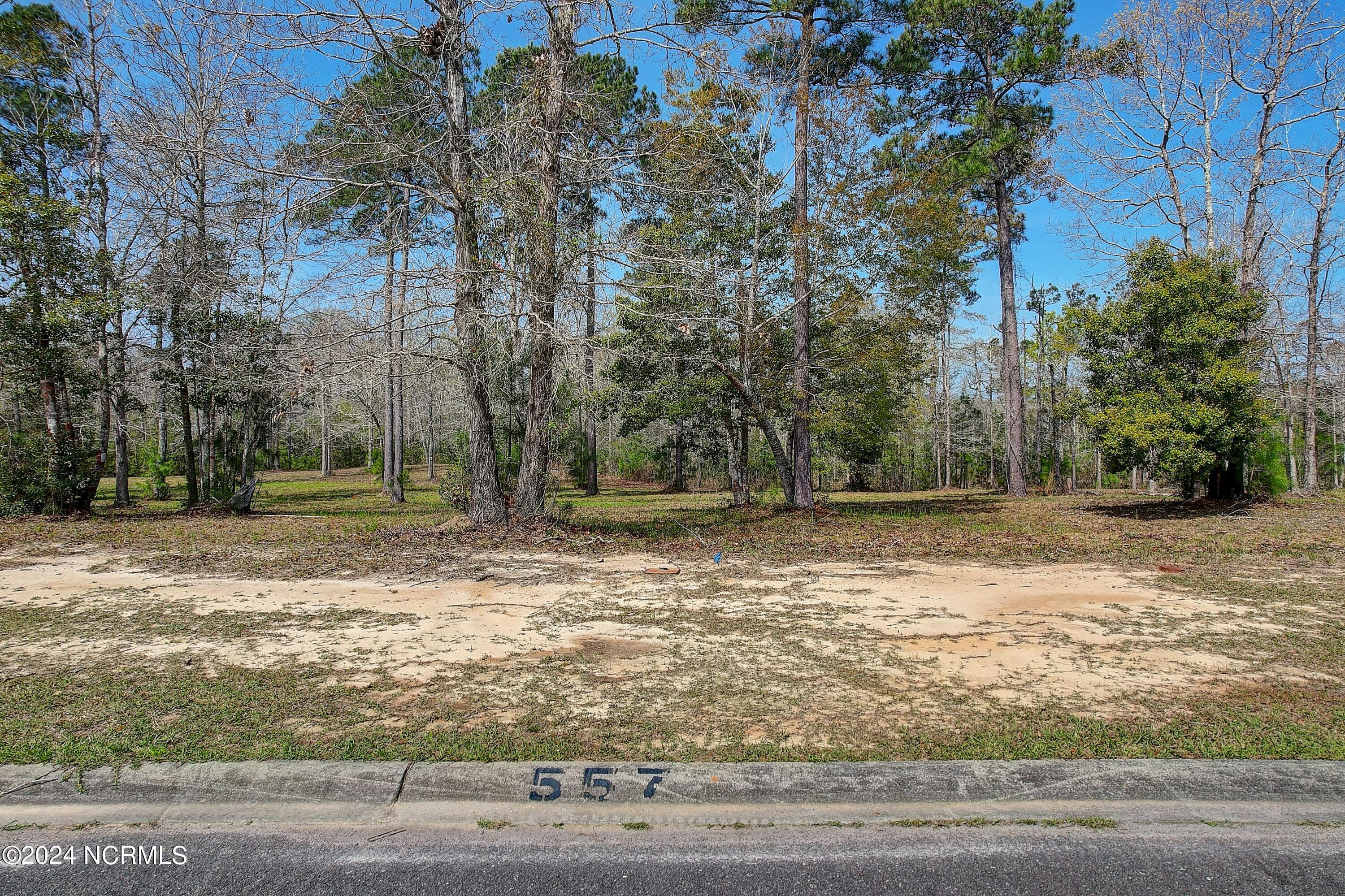 Residential Lot at 557 82A Sanctuary Point SW, Supply, NC 28462, photo 3 of 22