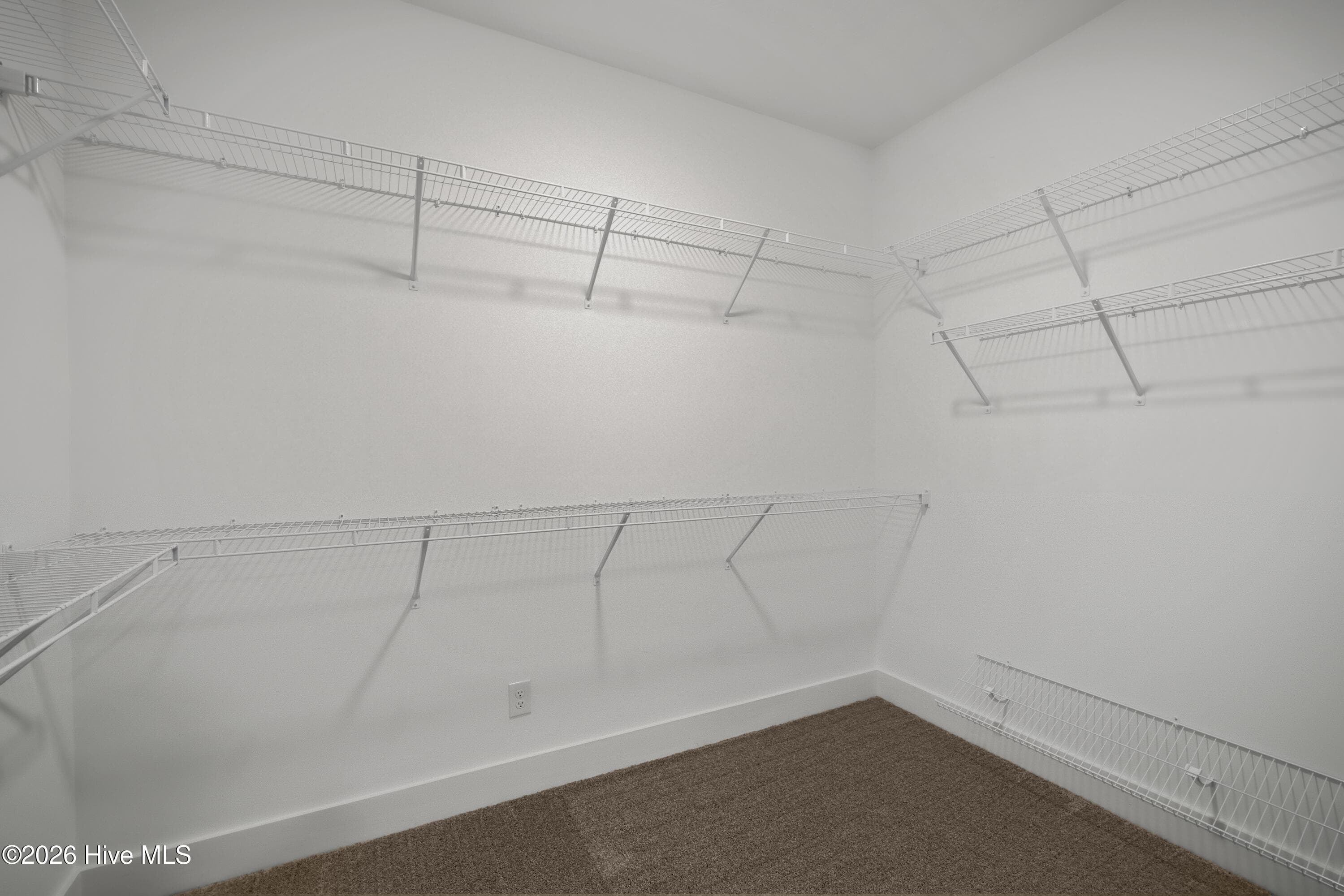 This primary closet is massive! - 1200 Bellingham Drive, Beech Island, SC 29842