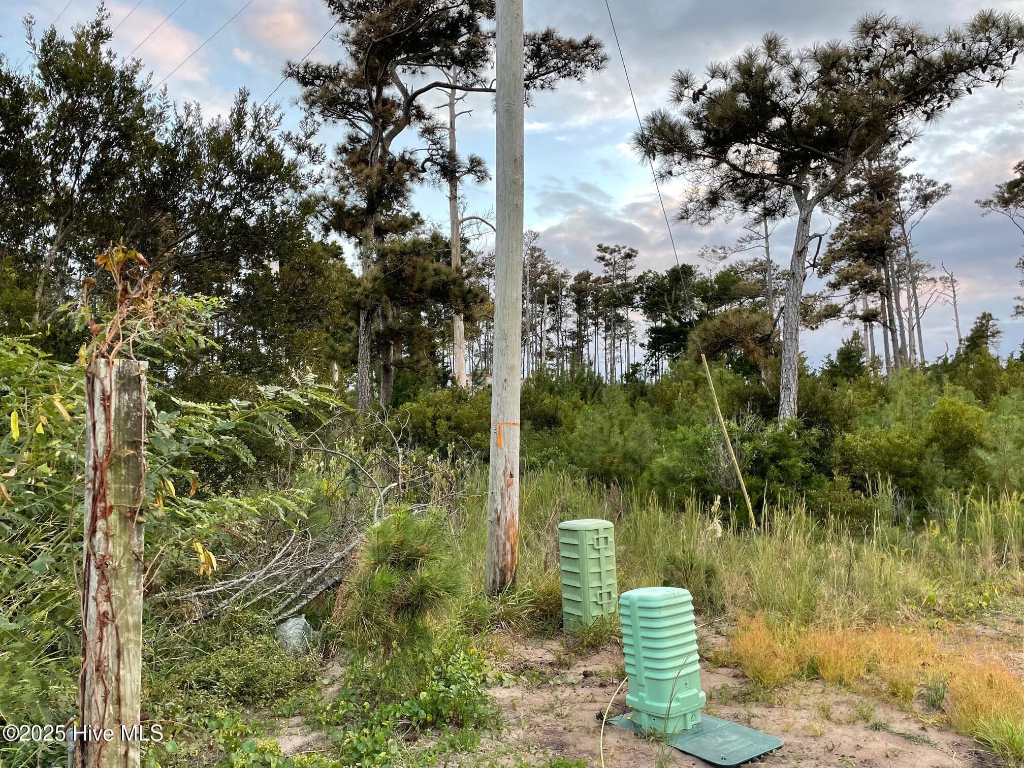Undeveloped at 3019 Cedar Island Rd, Cedar Island, NC 28520, photo 3 of 3