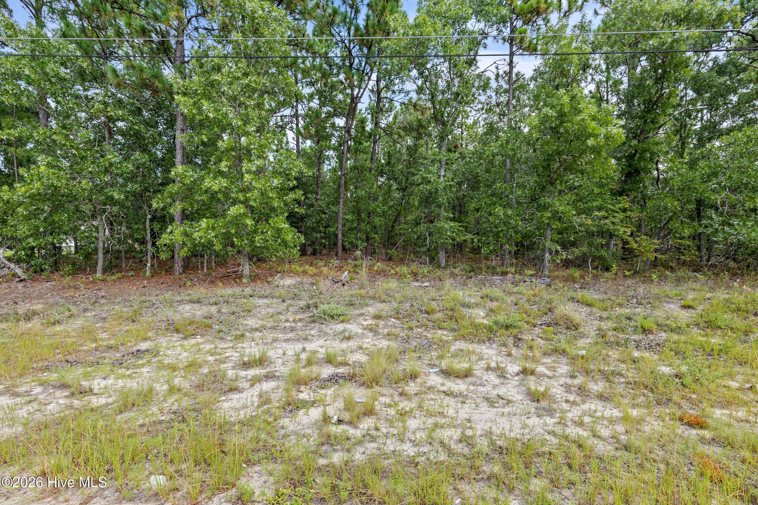 Wooded at 2467 Patiller Road, Hephzibah, GA 30815, photo 12 of 16