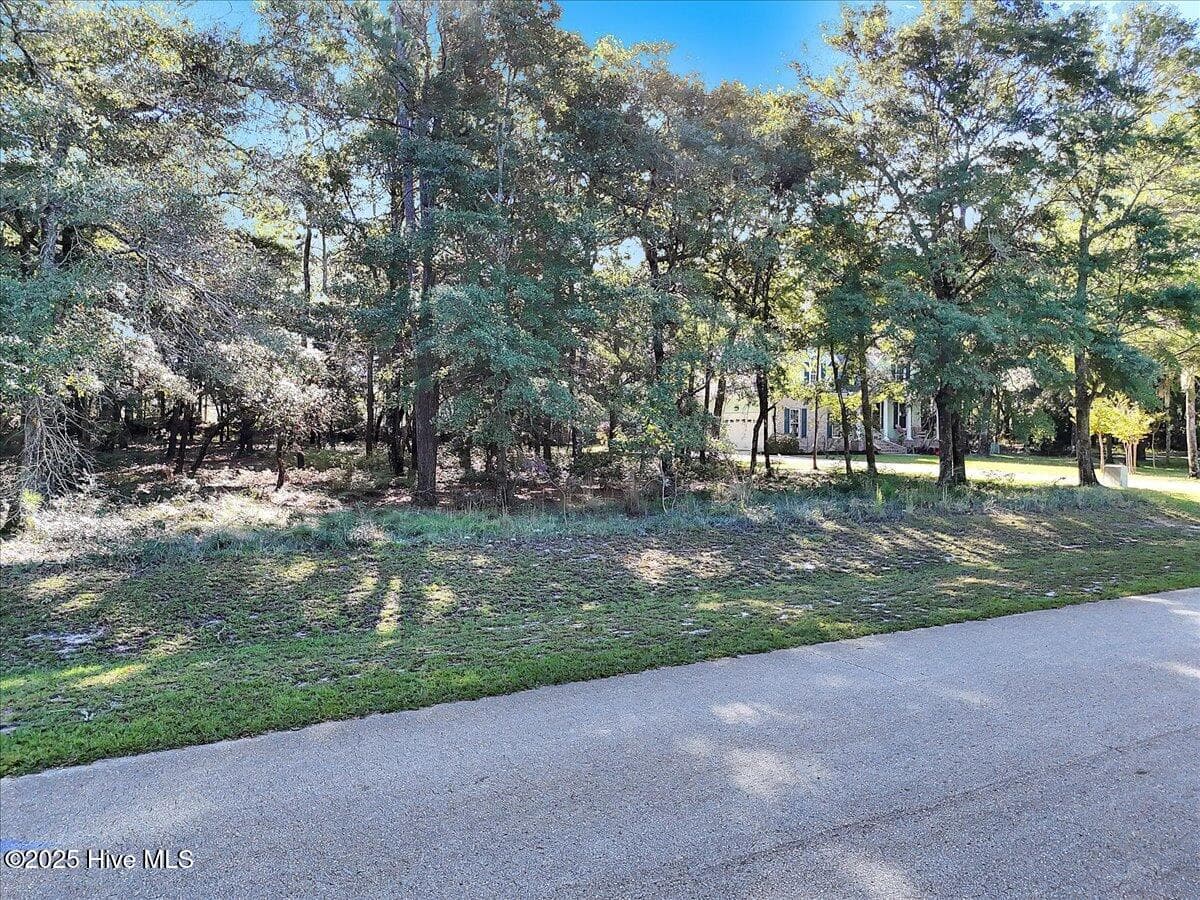 3349 428 Stone Crab Court SW, Supply, NC 28462