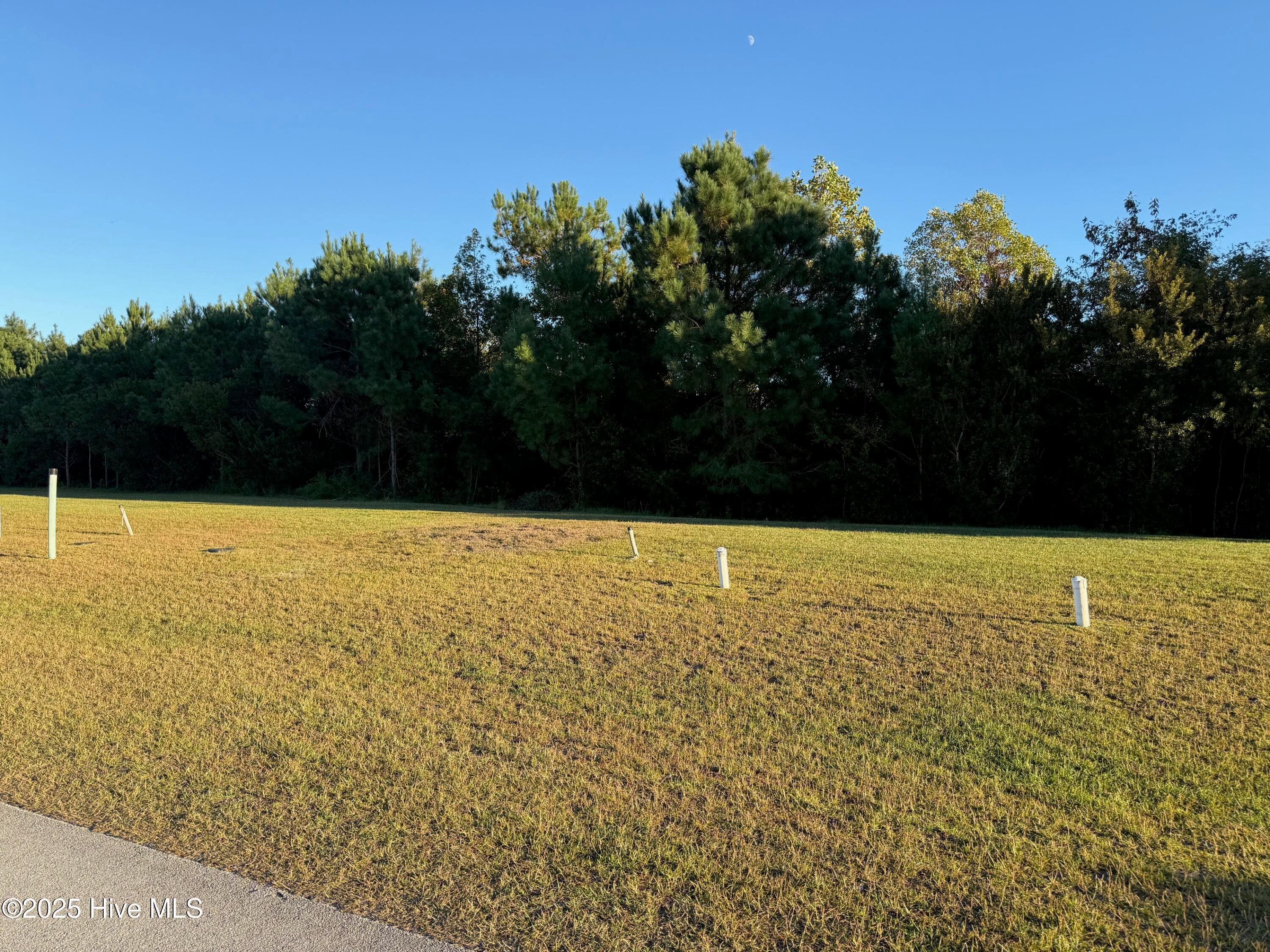 Residential Lot at 157 Whispering Pine Lane, Holly Ridge, NC 28445, photo 2 of 29