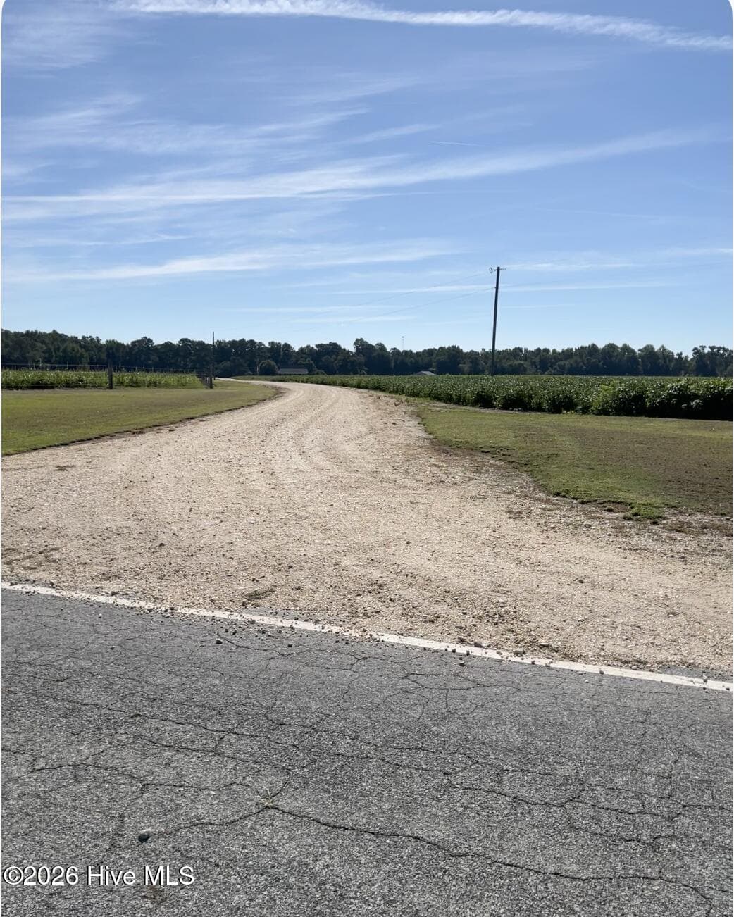 Driveway view from Enoch Road. - 642 Enoch Road, Clinton, NC 28328