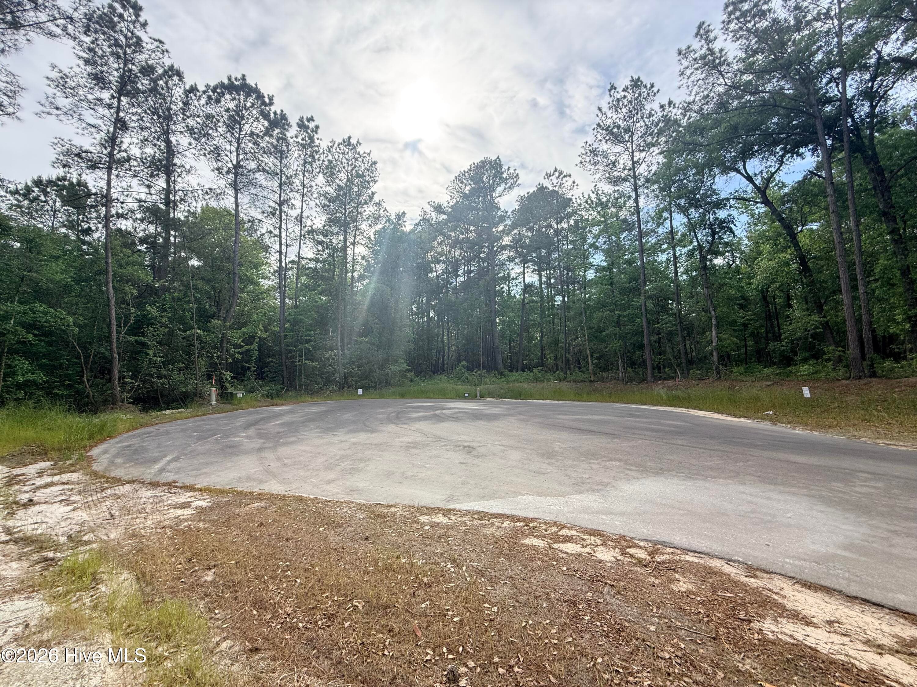 Residential Lot at Lot 4 Peach Court, Burgaw, NC 28425, photo 5 of 8