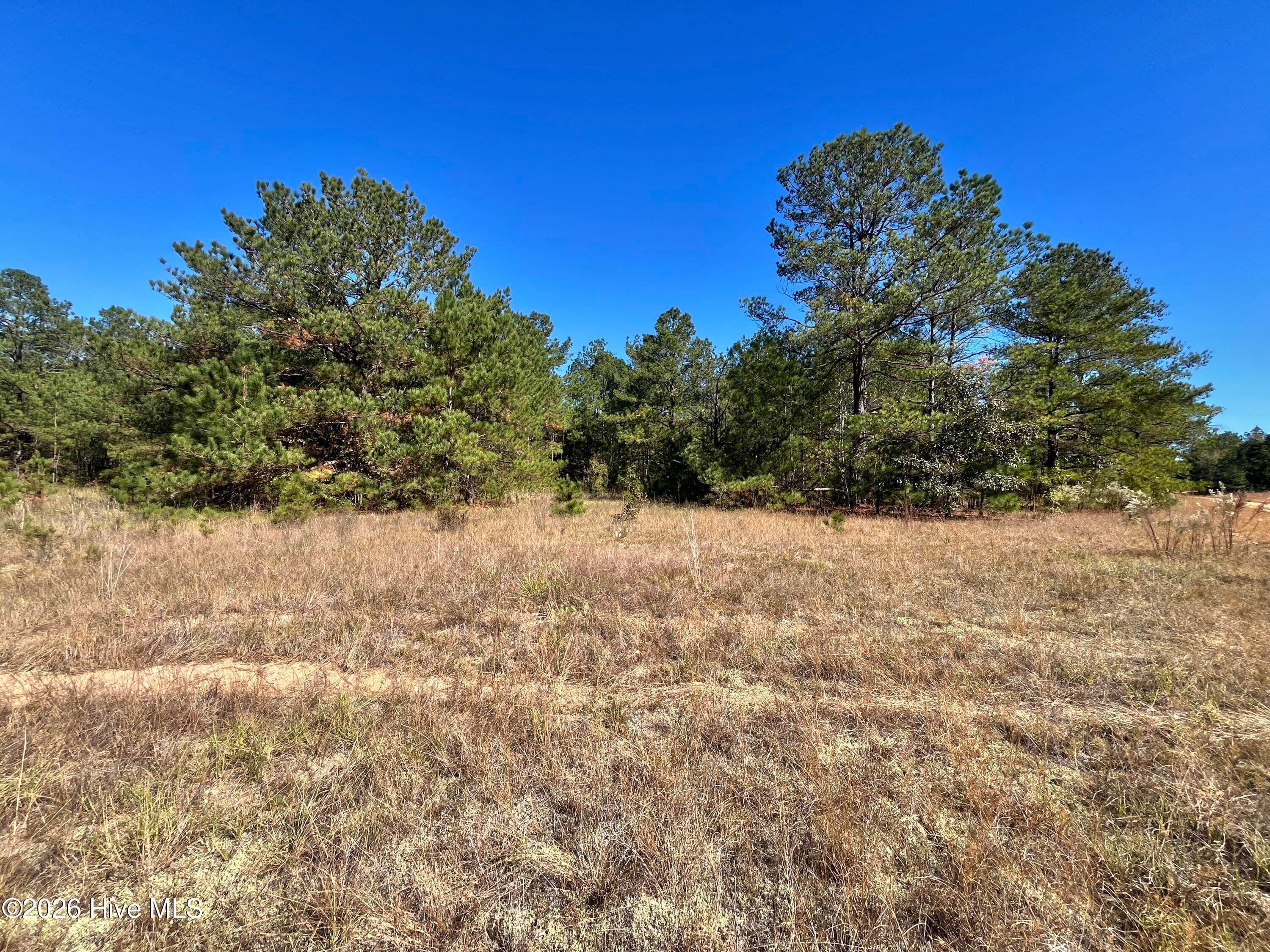 Residential Lot at Lot 9 Jasper Davis Road, Avera, GA 30803, photo 4 of 21