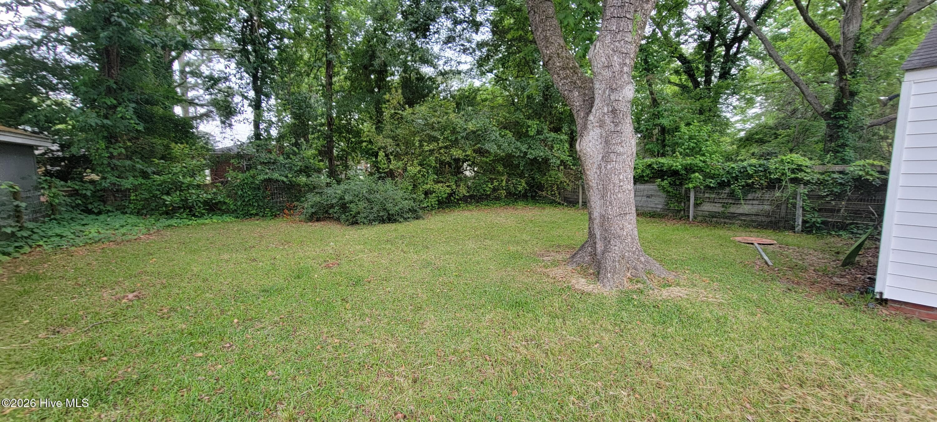 BACKYARD - 329 E 11th Street, Washington, NC 27889