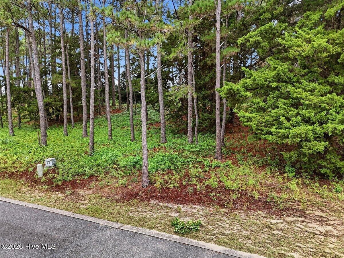 Residential Lot at 4042 1 Barnes Bluff Drive SE, Southport, NC 28461, photo 2 of 10