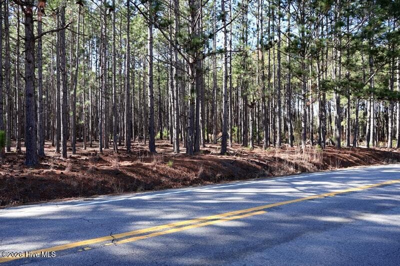 Wooded at Tbd 3 Nc Hwy 130 Road, Fairmont, NC 28340, photo 5 of 8