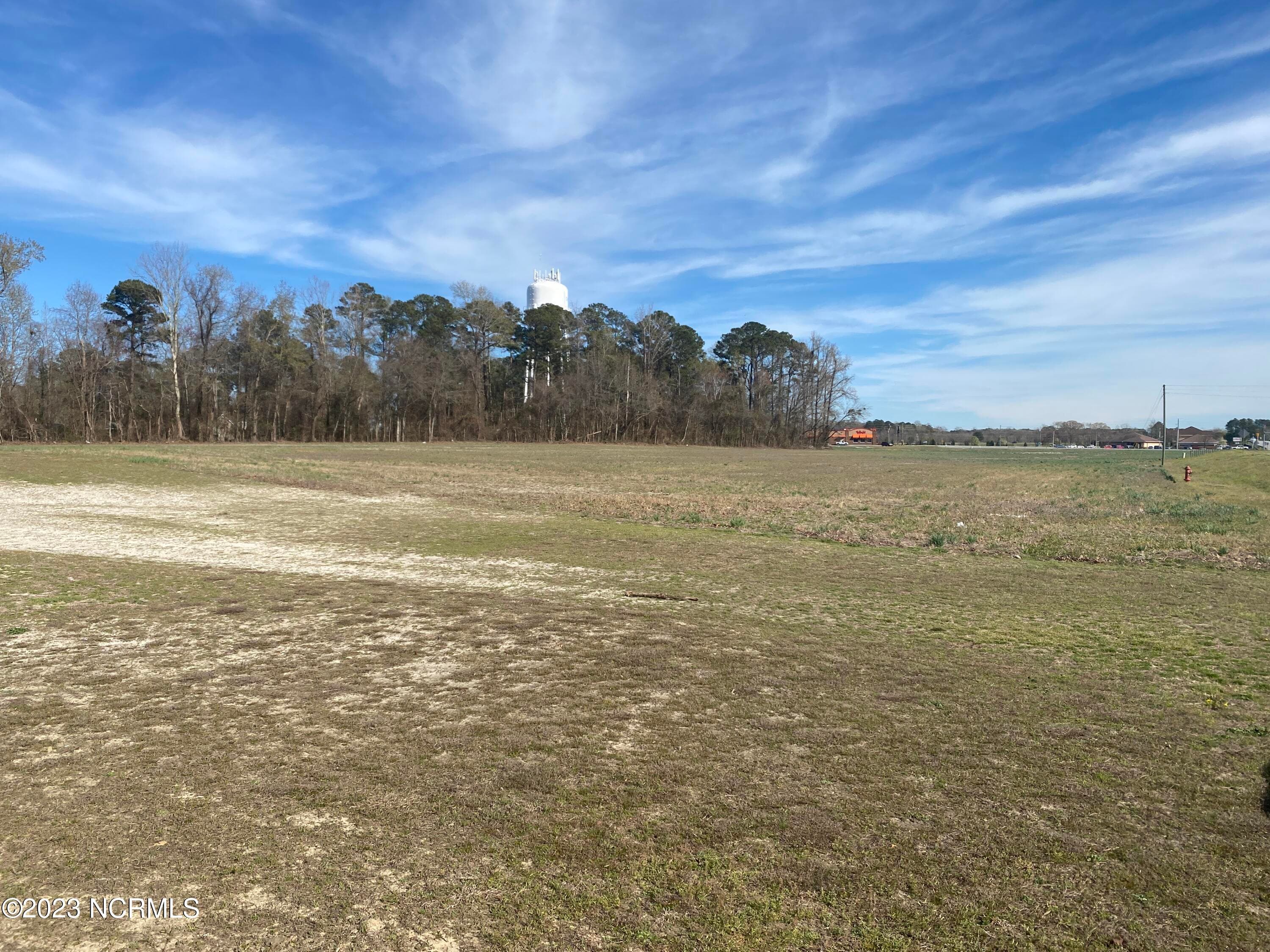 Undeveloped at 0000 Nc 33 Highway E, Chocowinity, NC 27817, photo 5 of 8