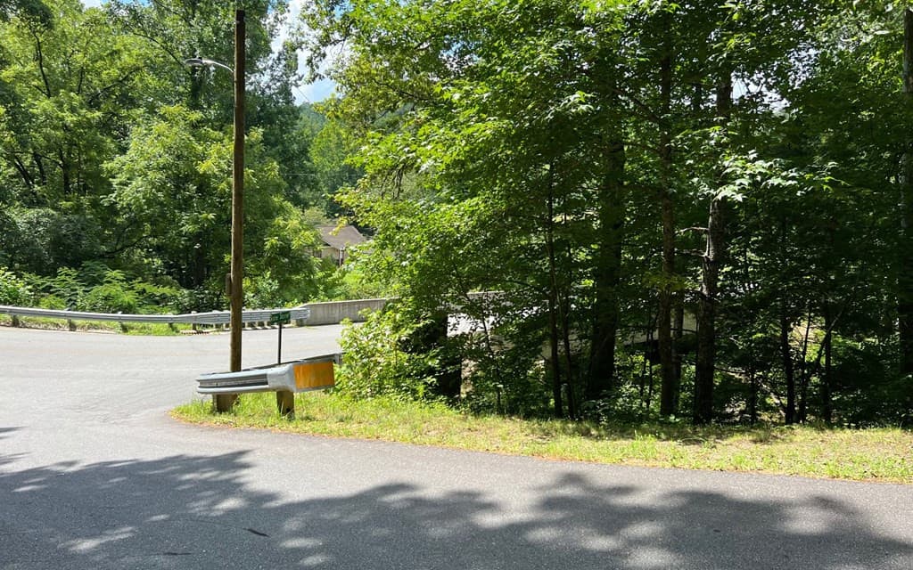Land at Lot 77 77 Fires Creek Cove, Hayesville, NC 28904, Hayesville, photo 11 of 19