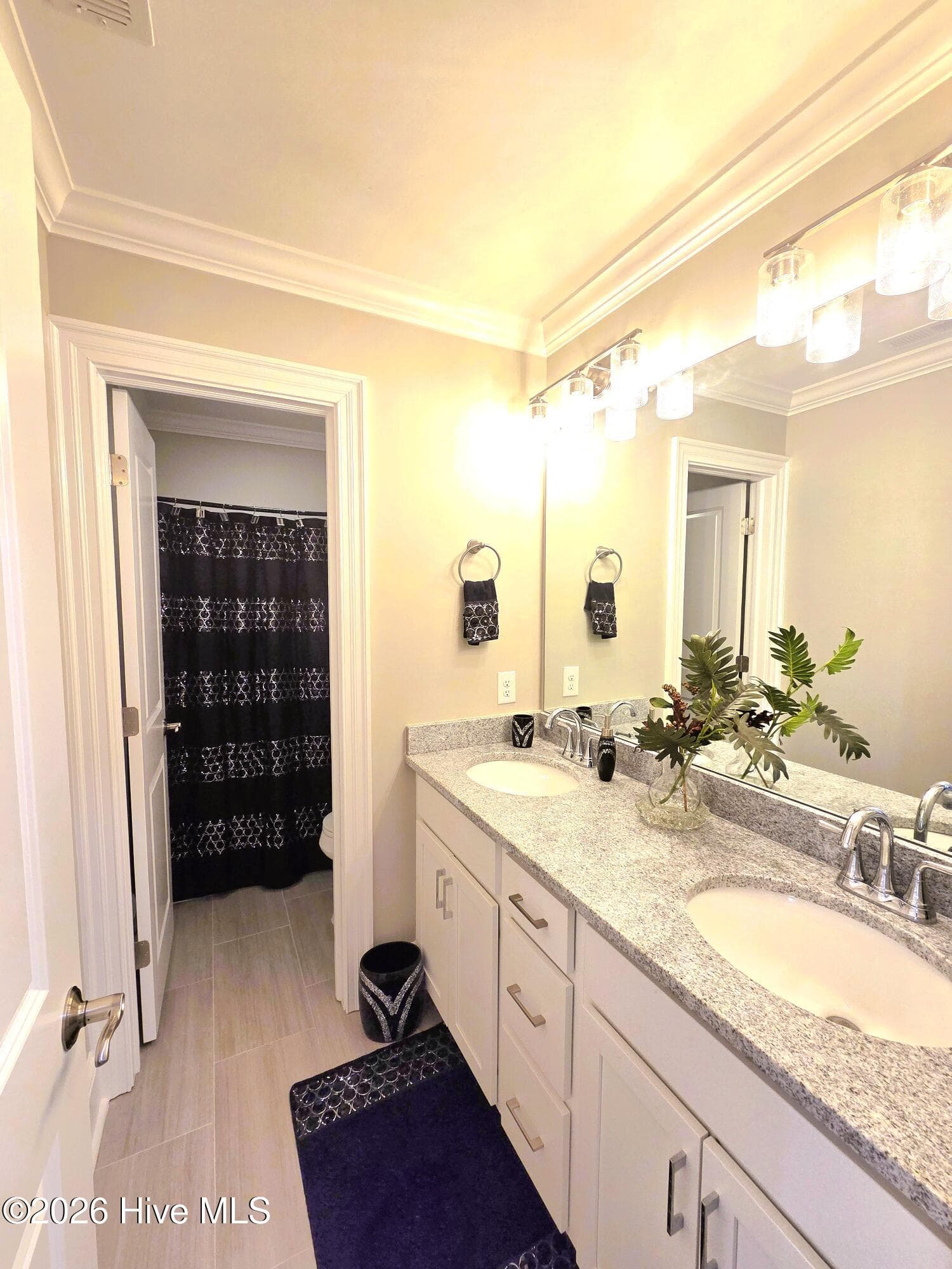 Single Family Residence at 3709 Cancion Street, Greenville, NC 27858, photo 3 of 5