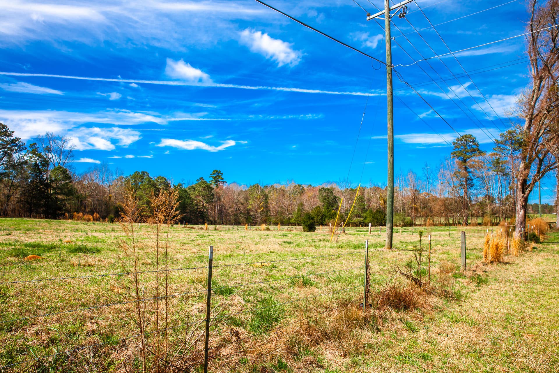 Undeveloped at 3500 5 Mistletoe Road, Appling, GA 30802, photo 2 of 5