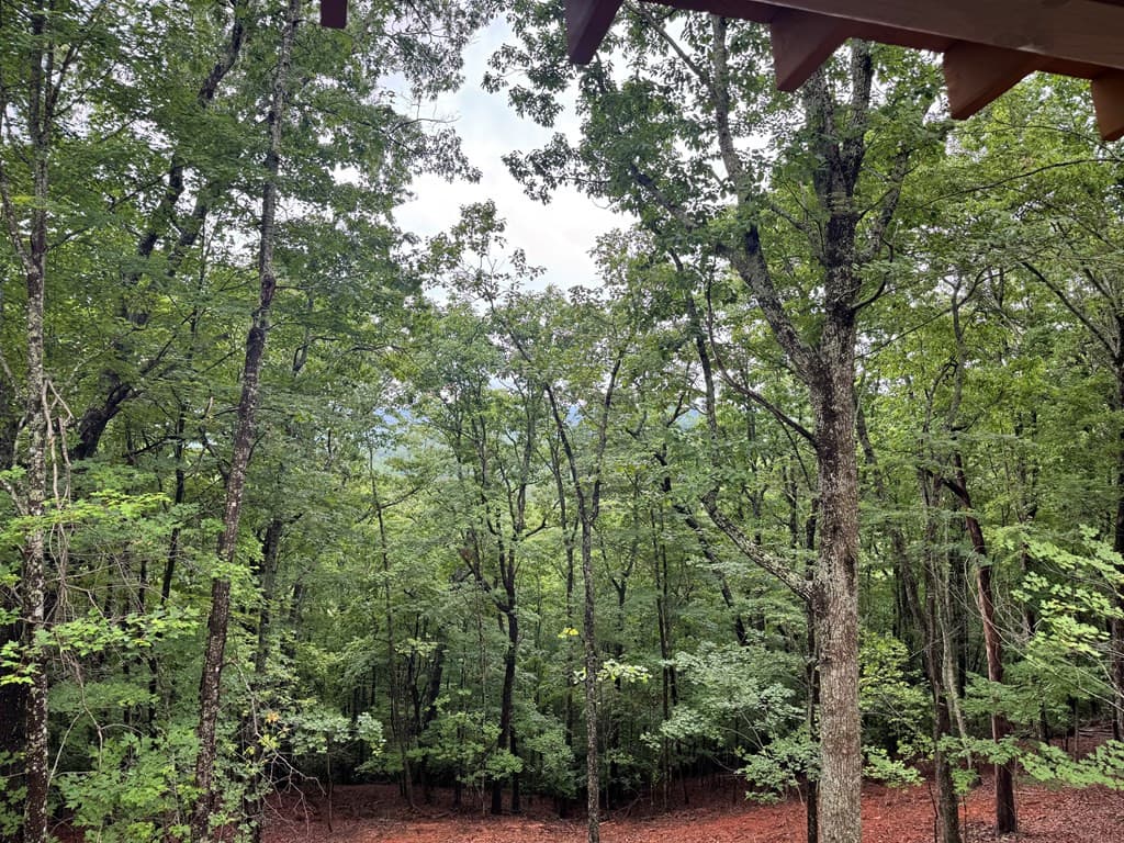 Single Family Residence at Lot 37 Quail Creek, Murphy, NC 28906, photo 12 of 73