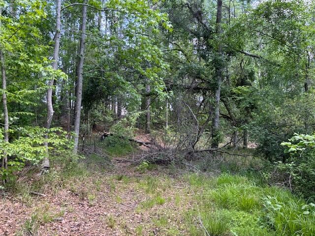 Residential Lot at 2060 Glenn, Grovetown, GA 30813, photo 6 of 12