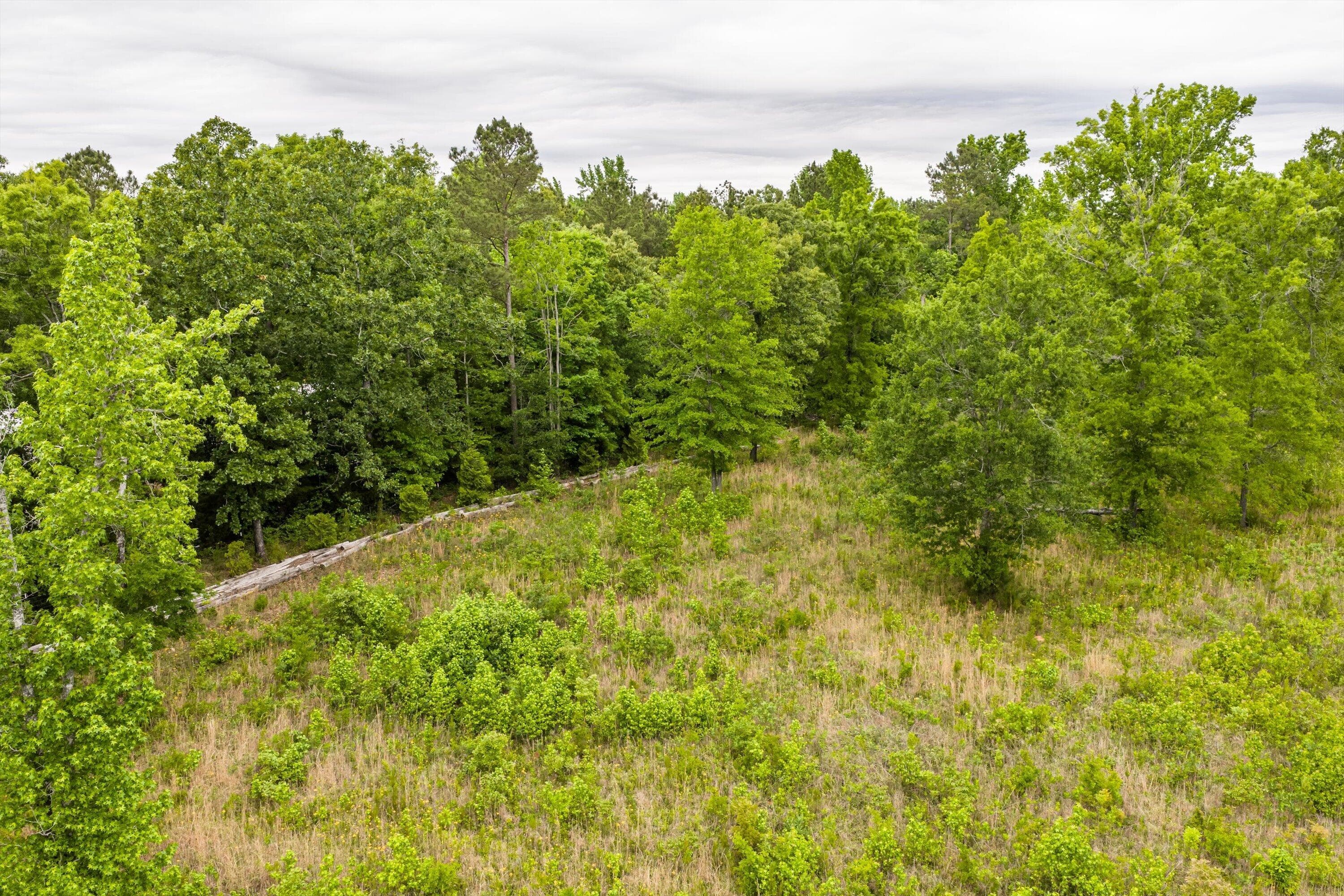 Mixed Use at 3776 Mt Zion Church Road, Lincolnton, GA 30817, photo 30 of 39