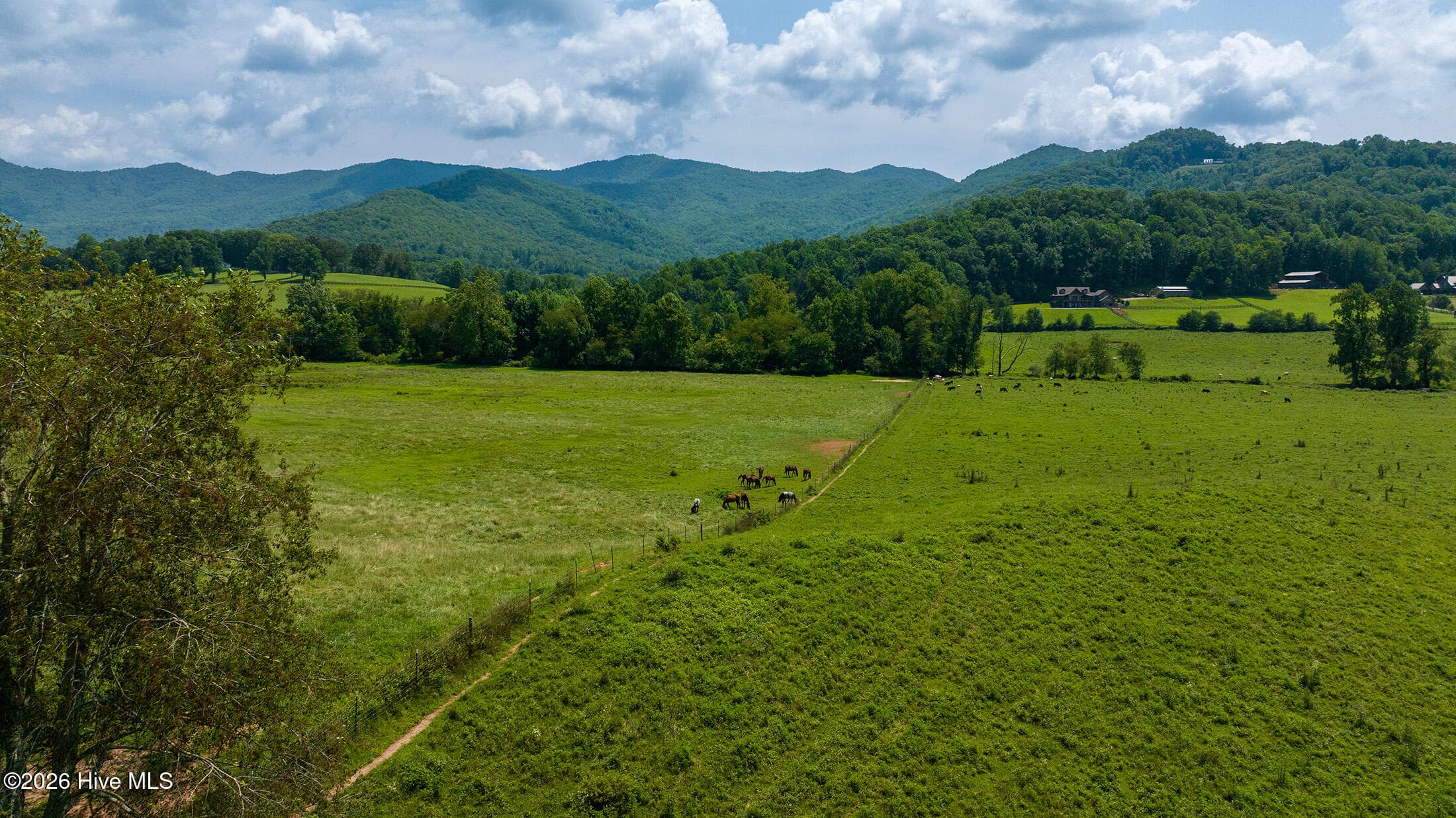 51.20 Ac Bethabara Road, Hayesville, NC 28904