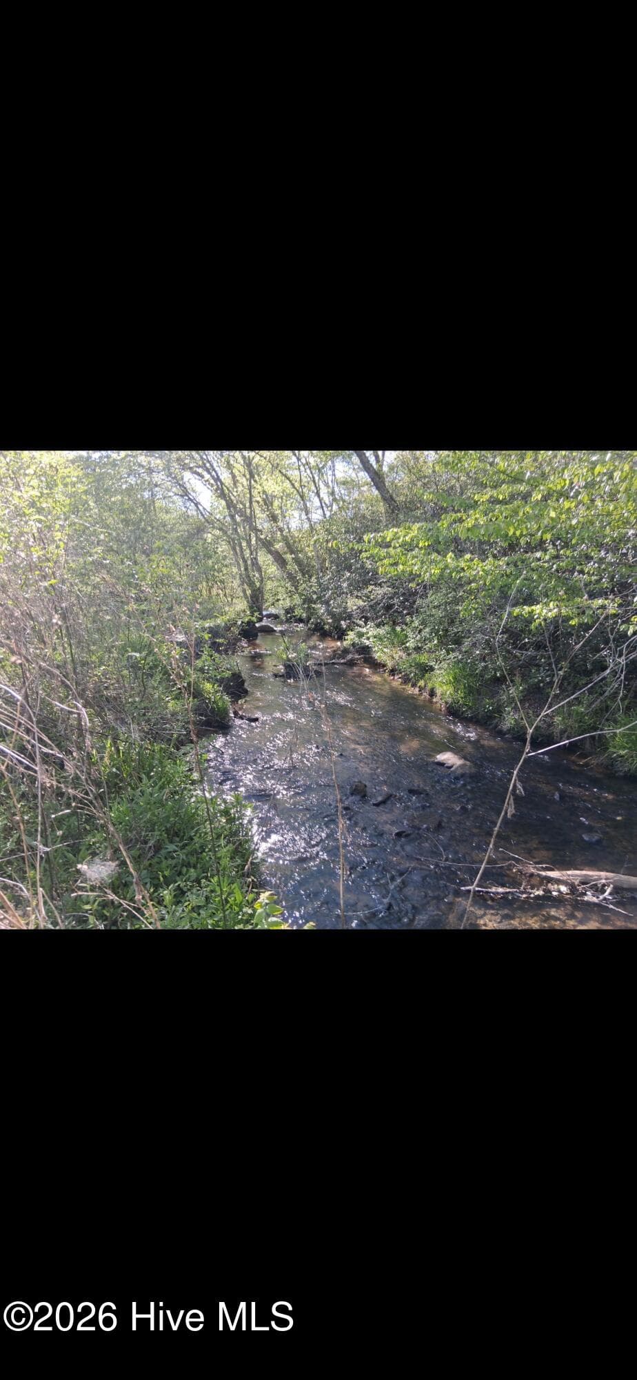 Undeveloped at 2231 Camp Creek Road, Murphy, NC 28906, photo 3 of 23
