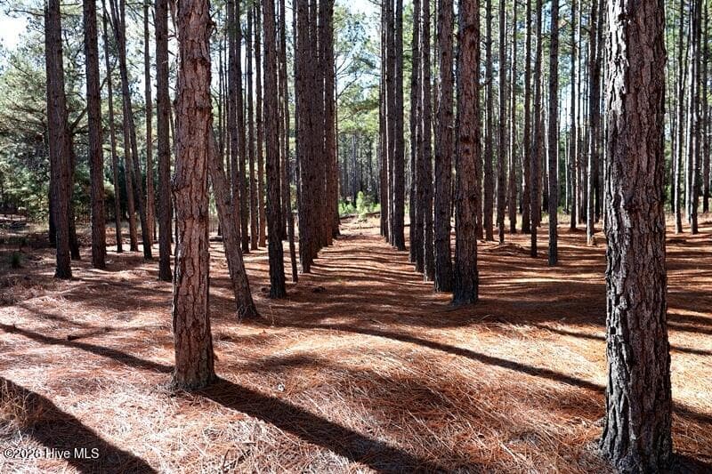 Wooded at Tbd 7 Nc Hwy 130 Road, Fairmont, NC 28340, photo 3 of 10