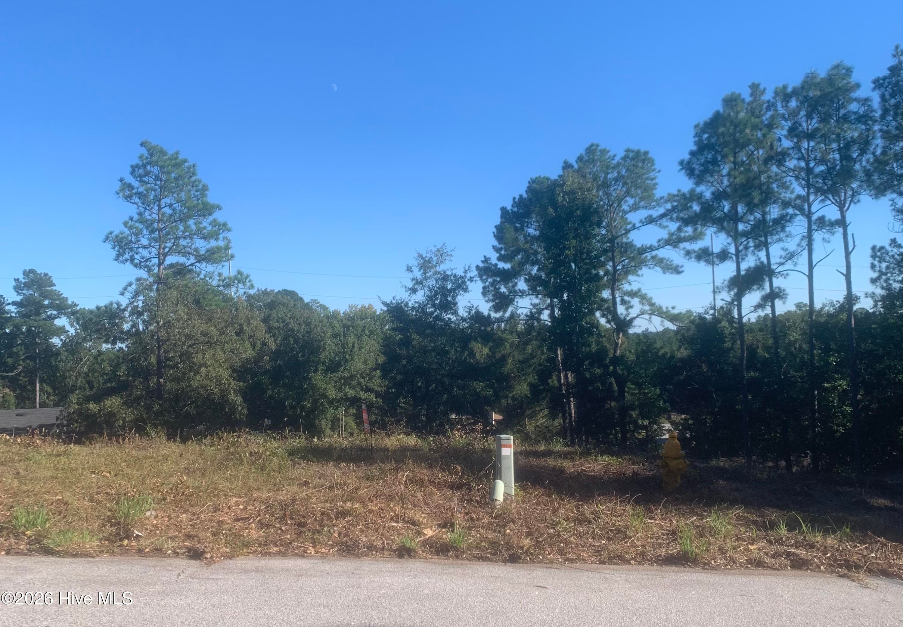 Residential Lot at 2331 Rutherford Avenue, Augusta, GA 30906, photo 2 of 11