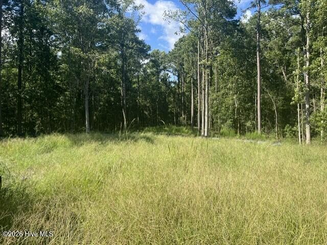 Residential Lot at 306 33 Joans Ridge, Stella, NC 28582, photo 2 of 9