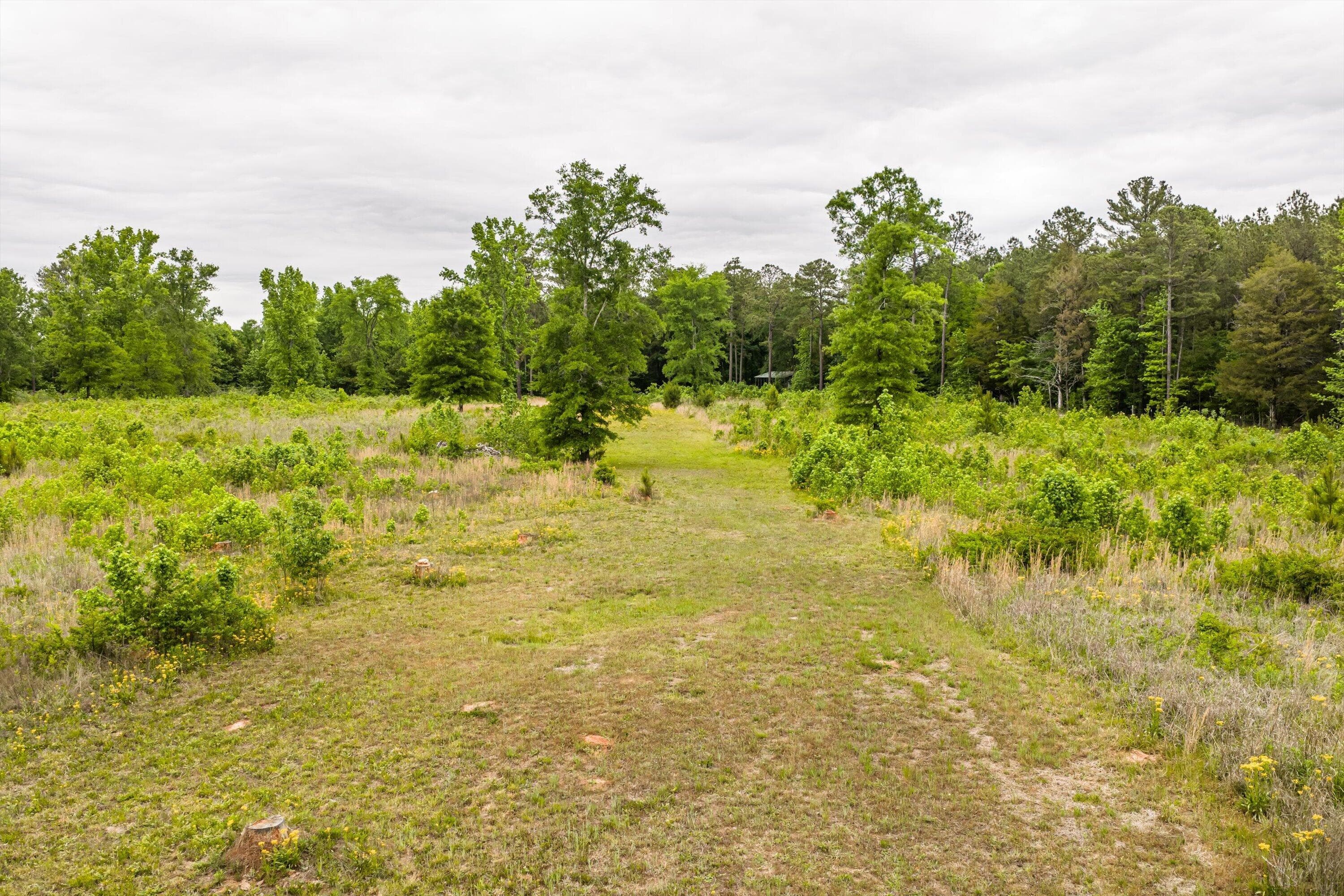 Mixed Use at 3776 Mt Zion Church Road, Lincolnton, GA 30817, photo 10 of 39
