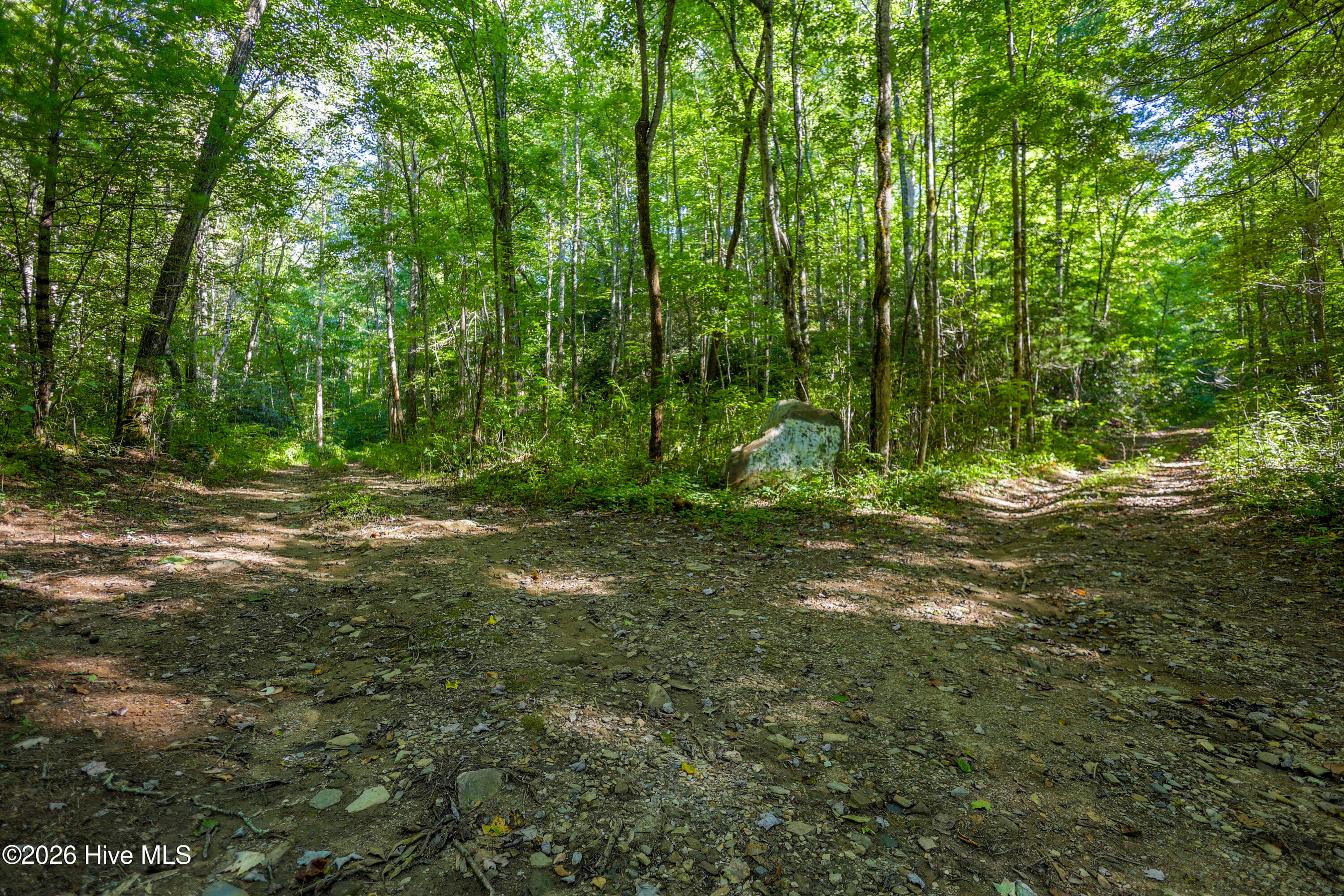 Wooded at 90 Ac Tree House Road, Andrews, NC 28901, photo 17 of 19