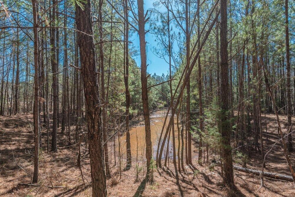 Residential Lot at 1421 14 Dunwoody Place, Appling, GA 30802, photo 14 of 16