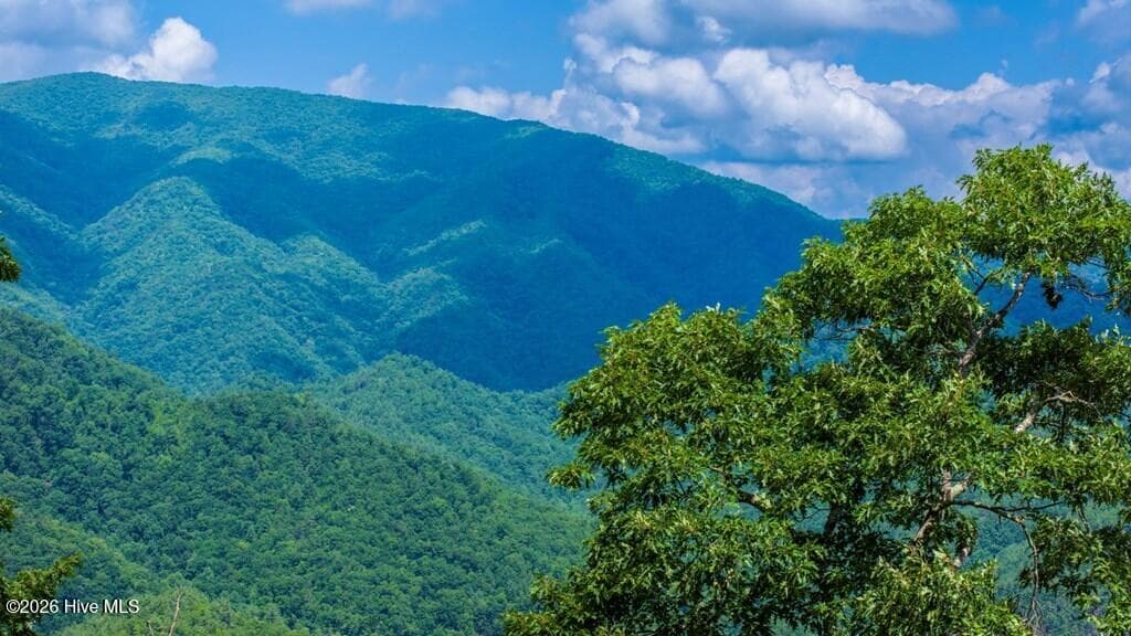 Single Family Residence at 235 Rios Drive, Bryson City, NC 28713, Bryson City, photo 27 of 29