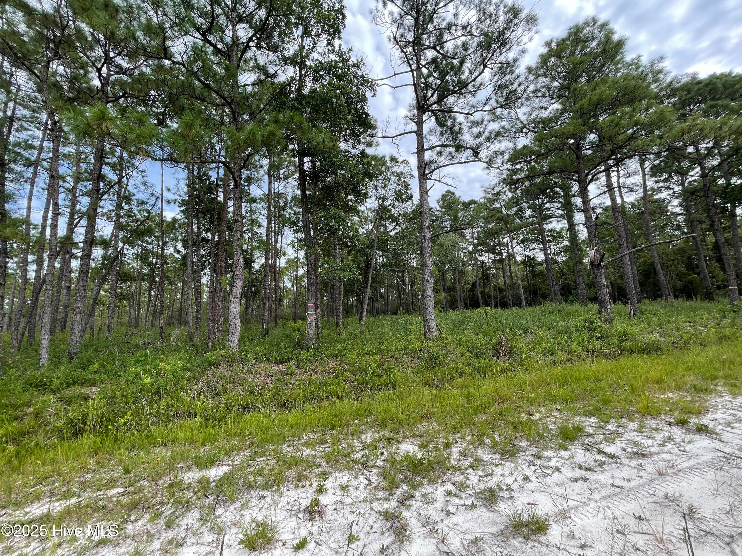 Residential Lot at 811 Brittany Road, Southport, NC 28461, photo 3 of 25