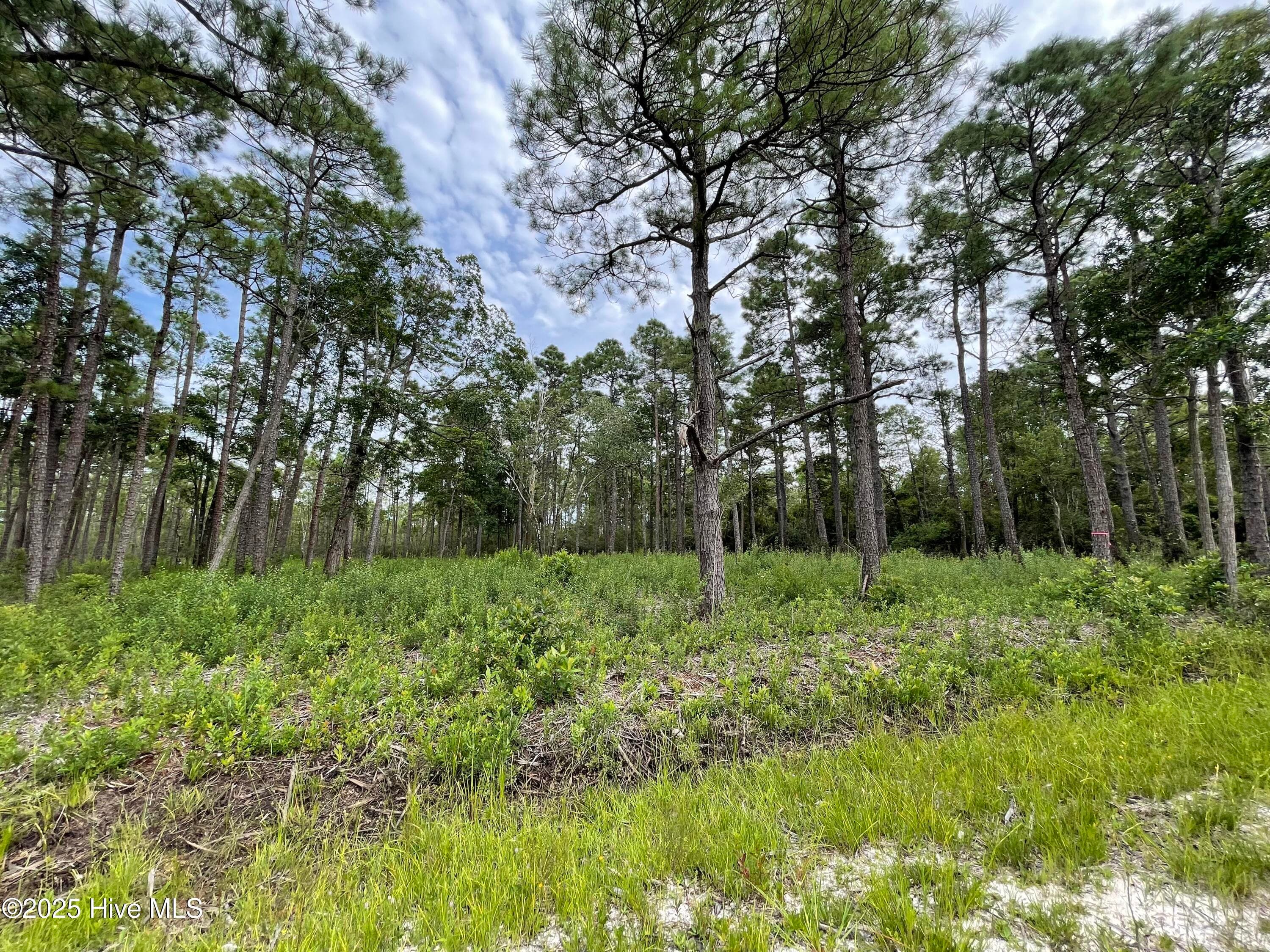 Residential Lot at 811 Brittany Road, Southport, NC 28461, photo 7 of 25