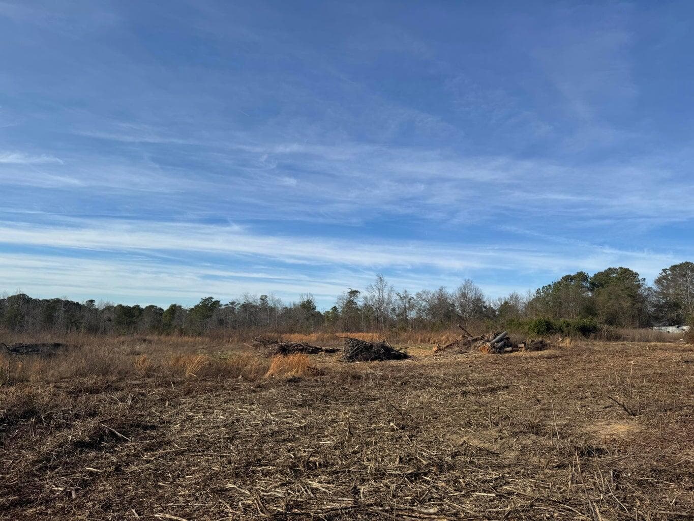 Undeveloped at 450 Bergen Road, North Augusta, SC 29860, photo 5 of 9