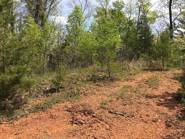 Residential Lot at Lot 29 29 Brasstown View Road, Murphy, NC 28906, photo 6 of 11